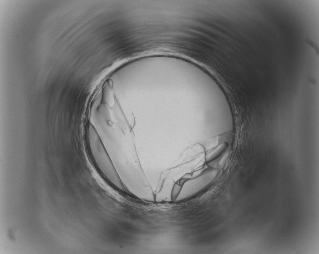 X0000103961134200810311608