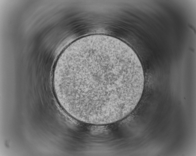 X0000103961135200810311608