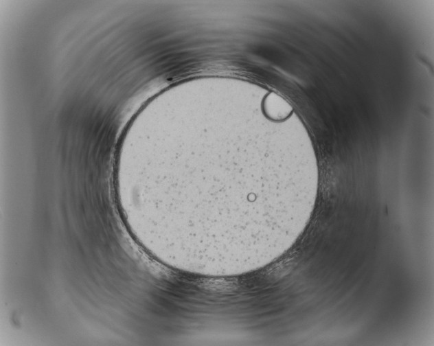 X0000103961139200810311608