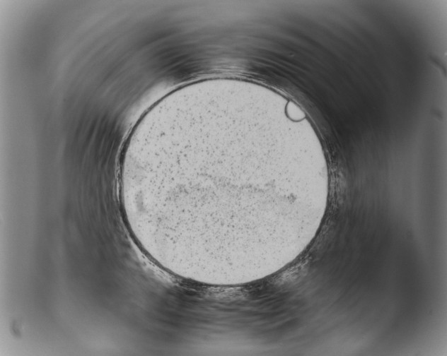 X0000103961143200810311608