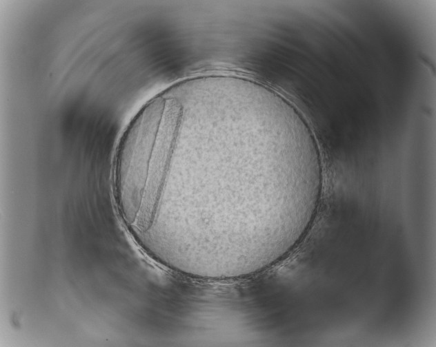 X0000103961144200810311608