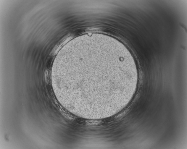 X0000103961145200810311608