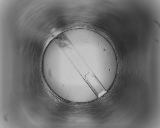 X0000103961146200810311608