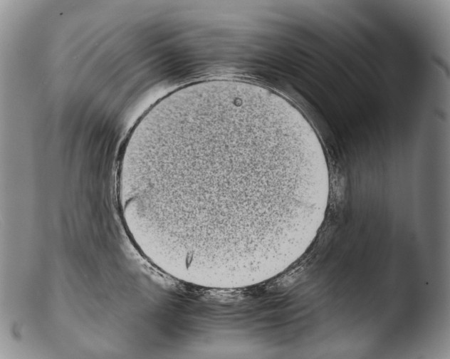 X0000103961147200810311608