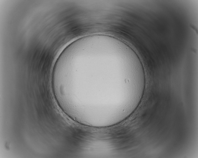 X0000103961148200810311608