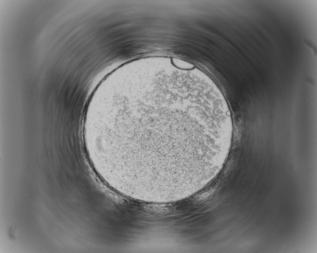X0000103961149200810311608