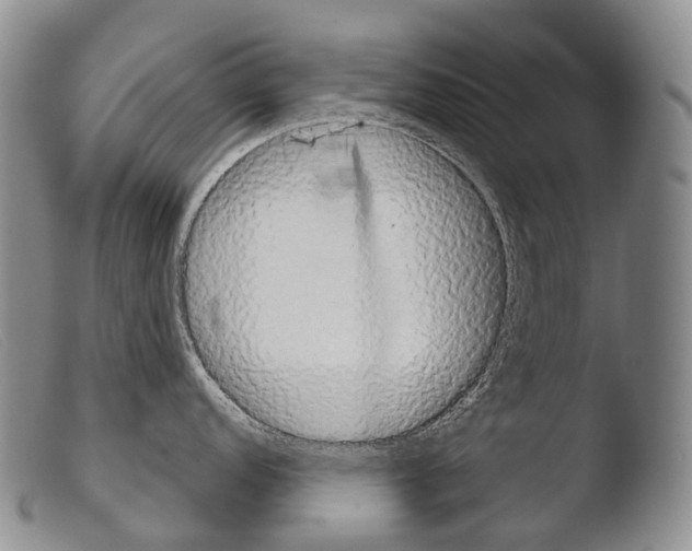 X0000103961152200810311608