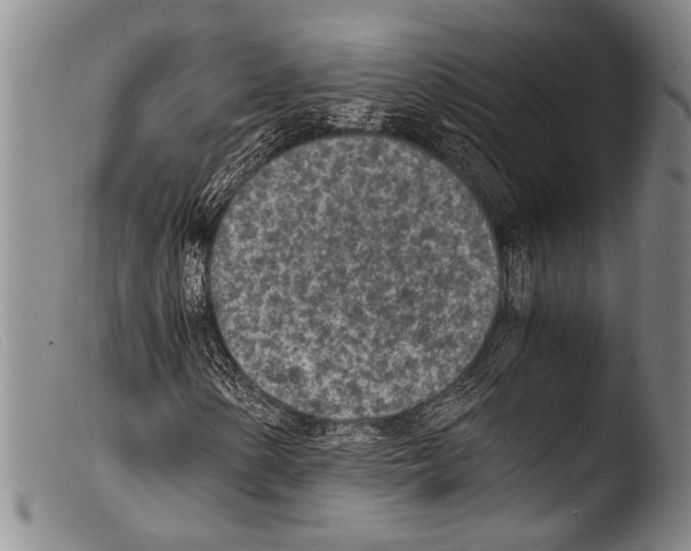 X0000103961154200810311607