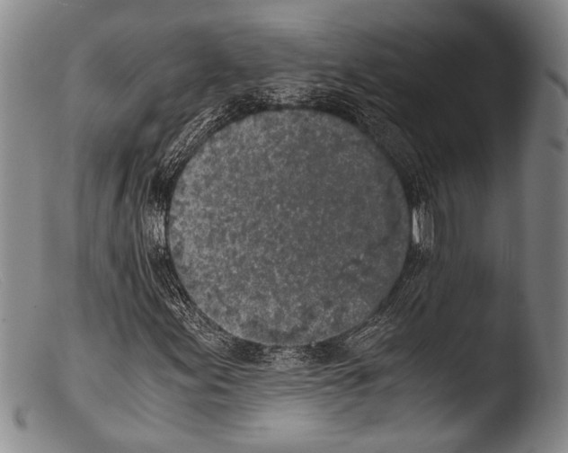 X0000103961155200810311607