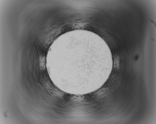X0000103961156200810311607