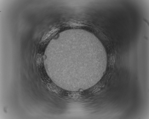 X0000103961157200810311607