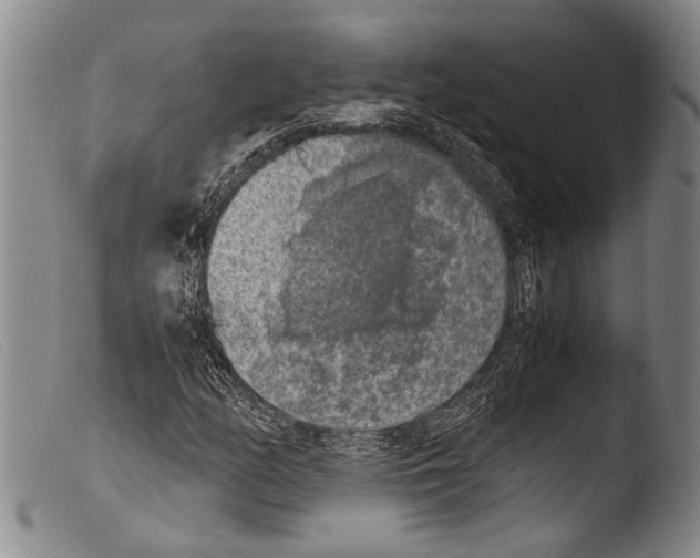 X0000103961158200810311607