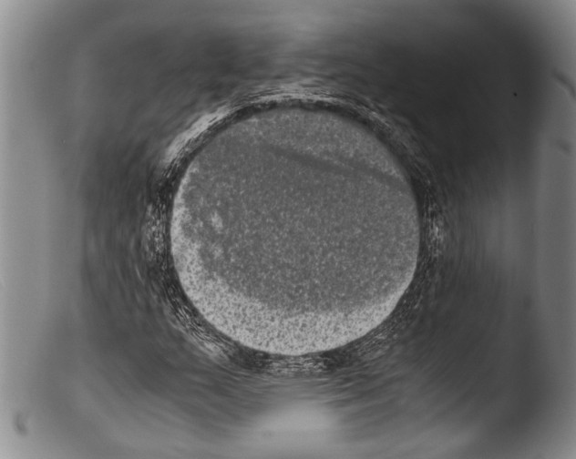 X0000103961159200810311607