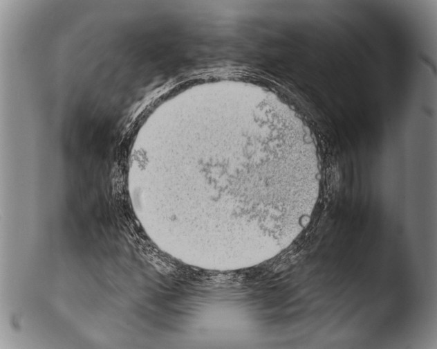 X0000103961160200810311607