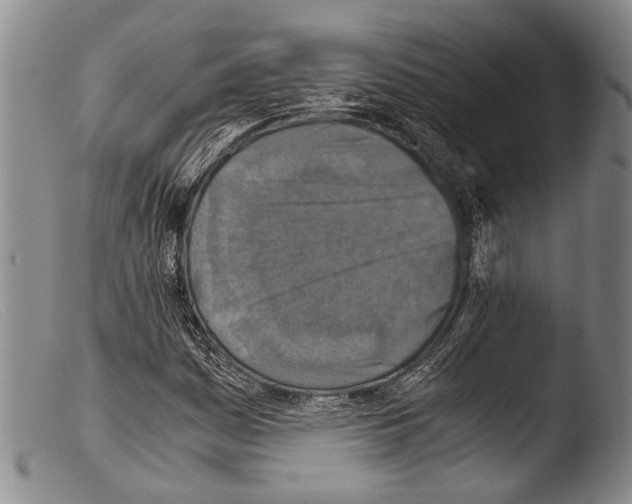 X0000103961161200810311607