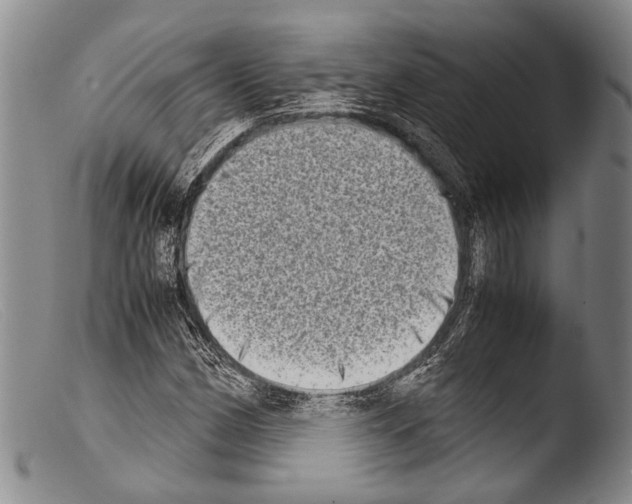 X0000103961162200810311607