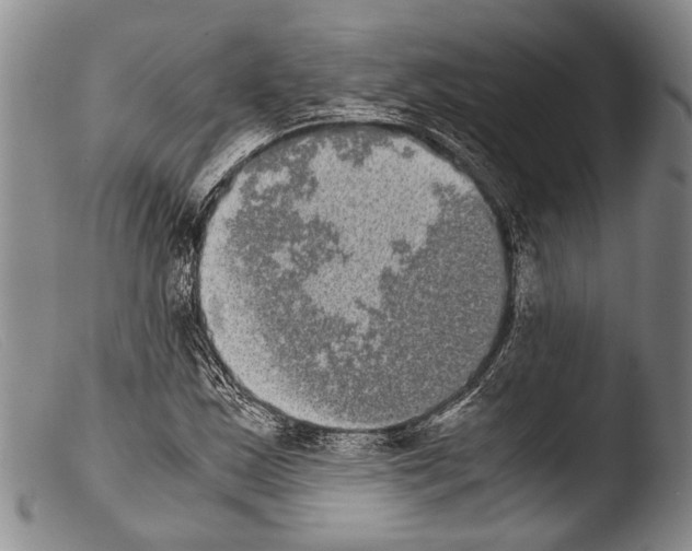 X0000103961163200810311607