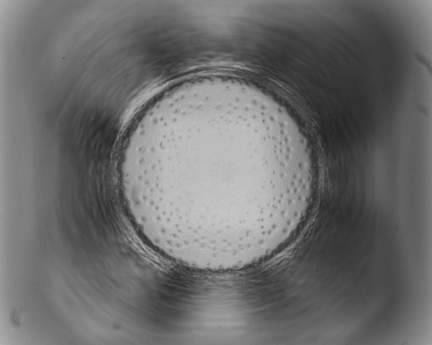 X0000103961164200810311607
