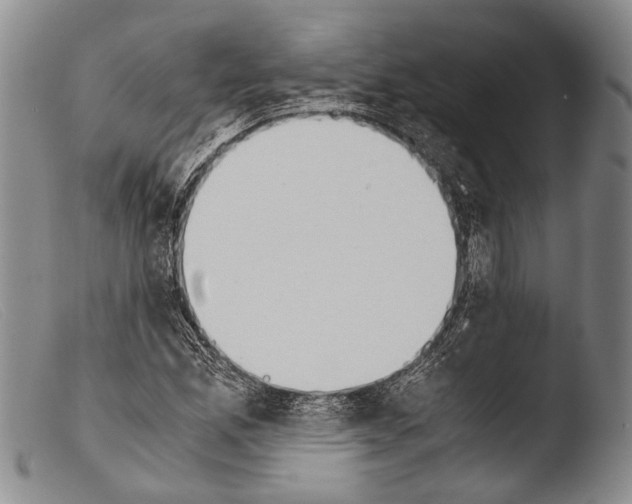 X0000103961165200810311607
