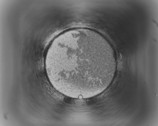 X0000103961167200810311607