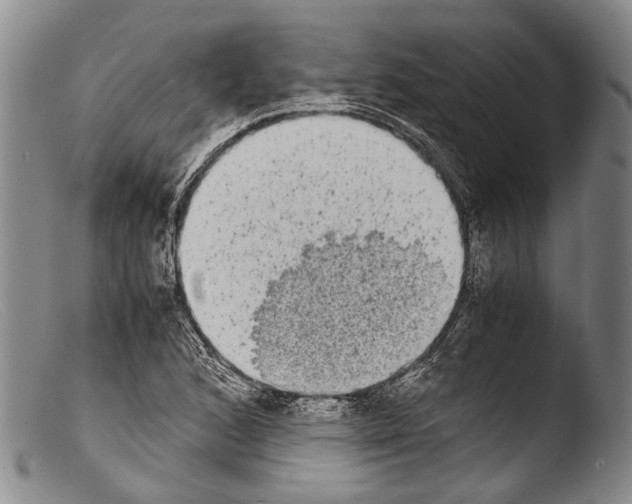 X0000103961168200810311607