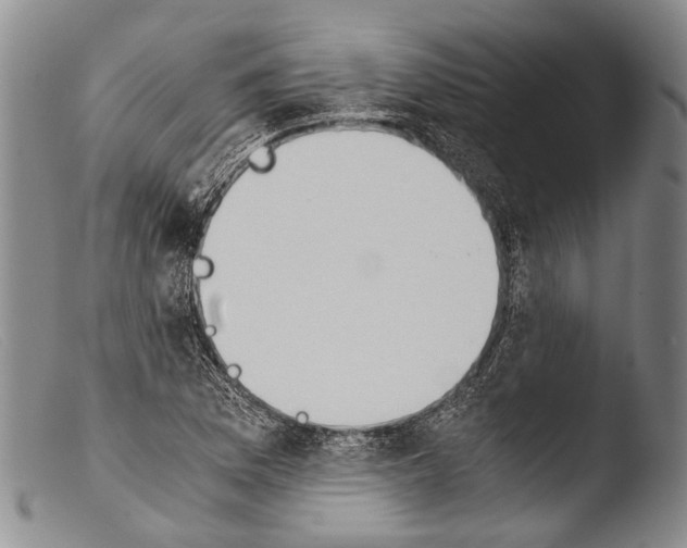 X0000103961169200810311607