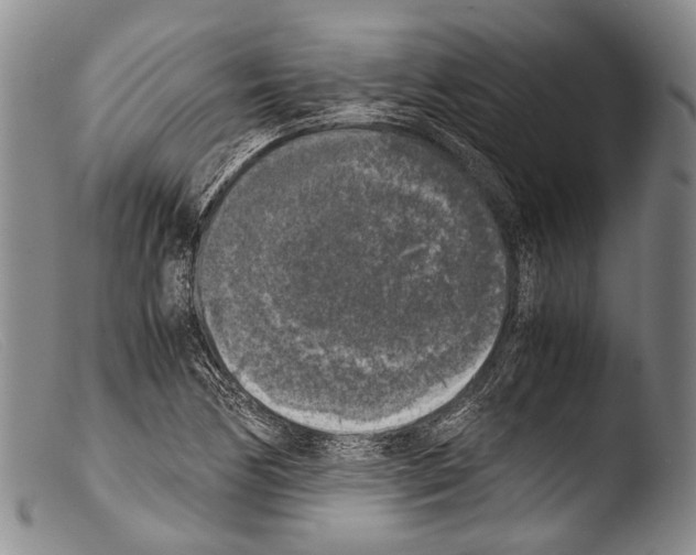 X0000103961170200810311607