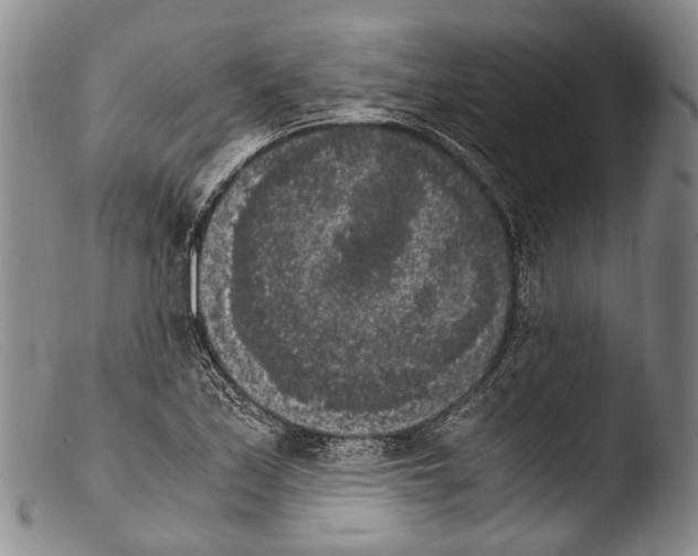 X0000103961171200810311607