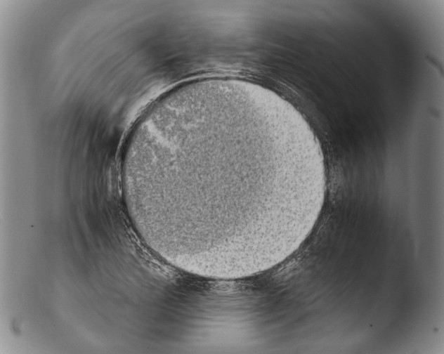 X0000103961172200810311607