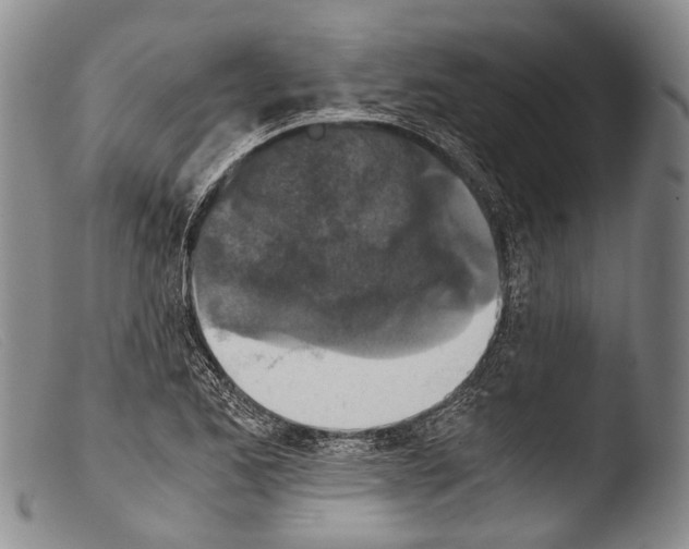 X0000103961173200810311607