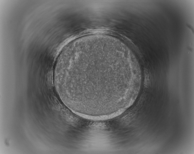 X0000103961174200810311607