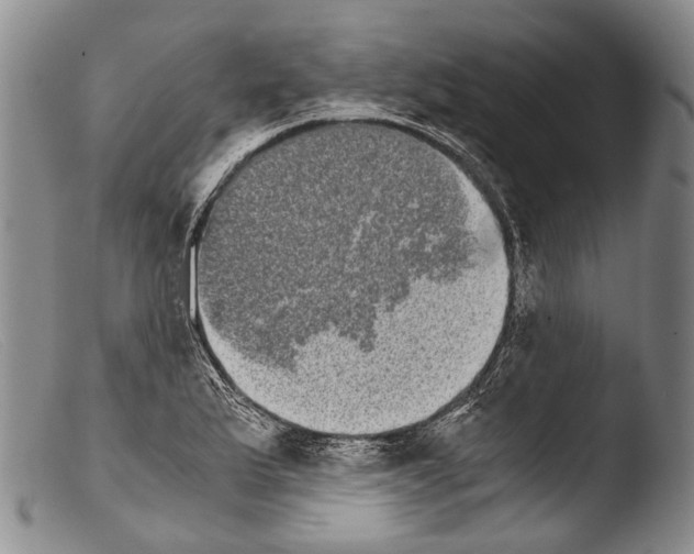 X0000103961175200810311607