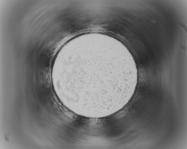 X0000103961176200810311607
