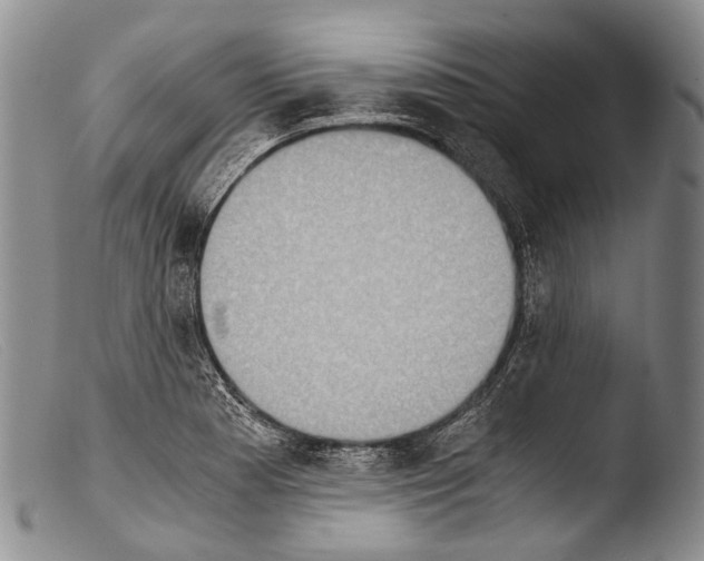X0000103961177200810311607