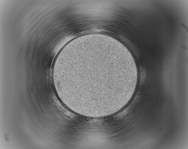 X0000103961178200810311607