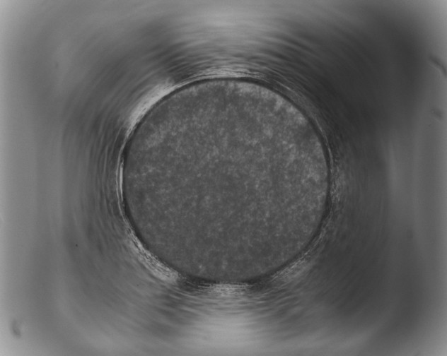 X0000103961179200810311607