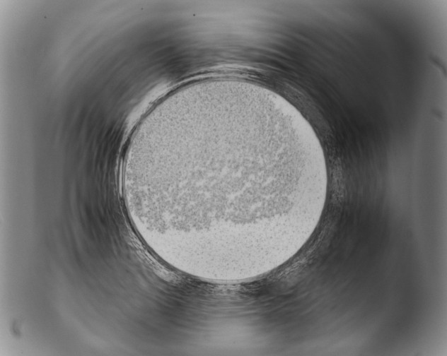 X0000103961180200810311607