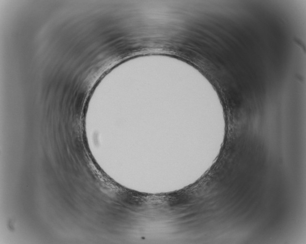 X0000103961181200810311607