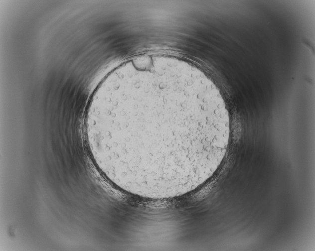 X0000103961182200810311607