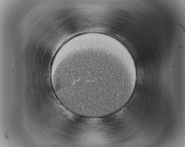 X0000103961184200810311607