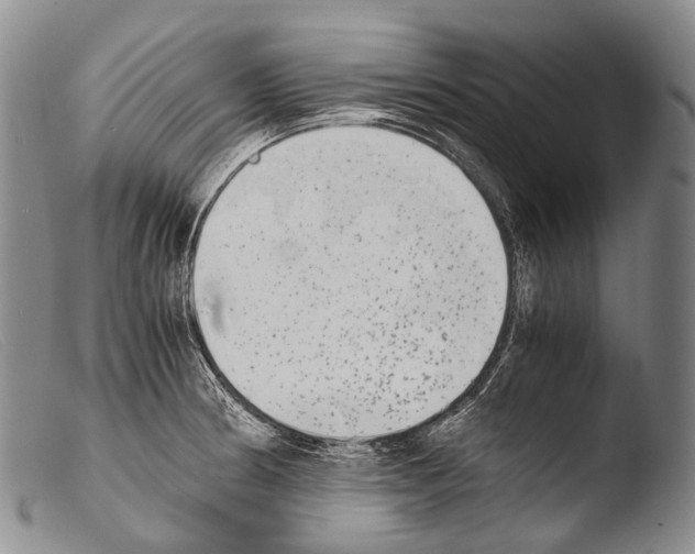 X0000103961186200810311607
