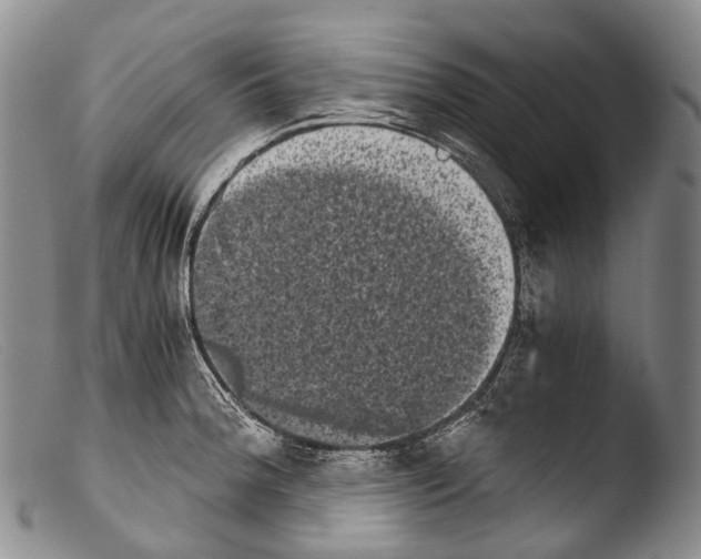 X0000103961188200810311607