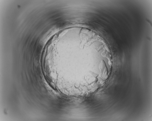 X0000103961189200810311607