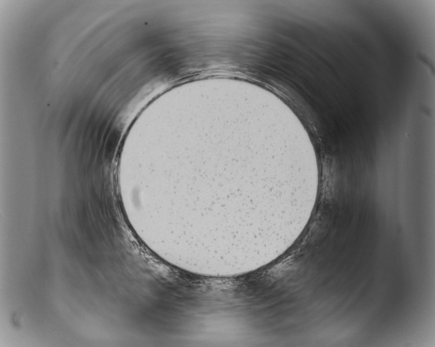 X0000103961190200810311607