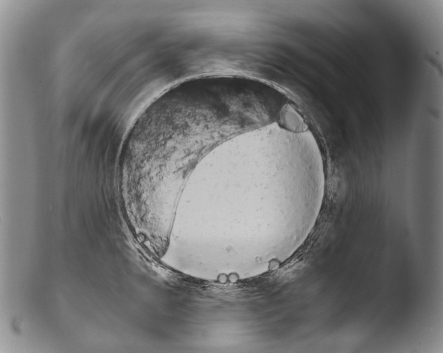 X0000103961191200810311607