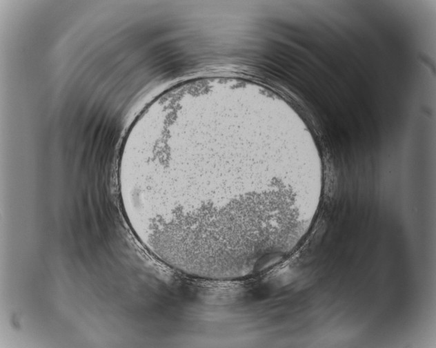 X0000103961192200810311607