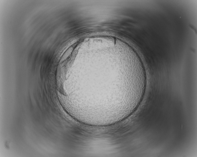 X0000103961193200810311607