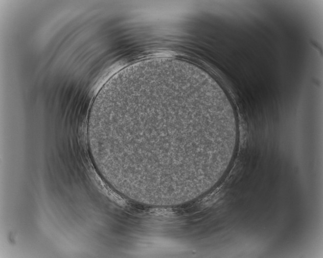 X0000103961194200810311607