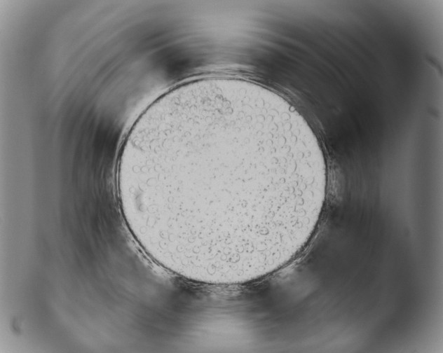 X0000103961196200810311607