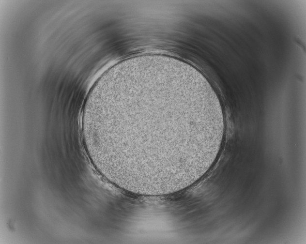 X0000103961198200810311607